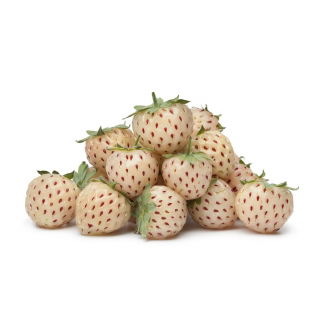 Truskawka biała, ananasowa - sadzonka