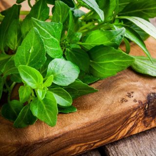 Oregano greckie - bardziej intensywne od zwykłego!
