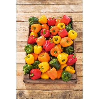 Papryka słodka mieszanka odmian do uprawy w gruncie