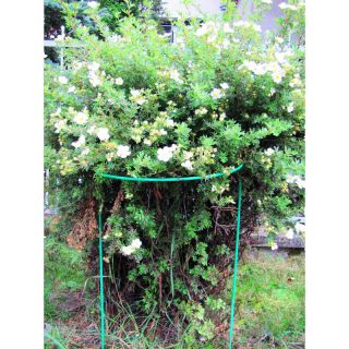 Podpora do roślin półokrągła, metalowa - 39 cm