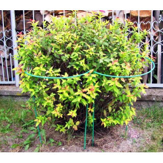 Podpora do roślin półokrągła, metalowa - 39 cm