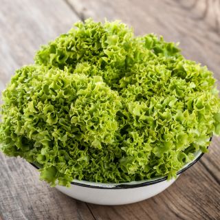 Sałata Lollo Bionda - liściowa karbowana