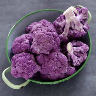 Kalafior Di Sicilia Violetto - o róży fioletowej