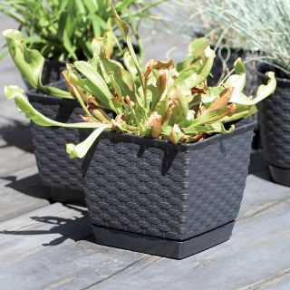 Doniczka kwadratowa + podstawka Ratolla - 18 cm - mocca