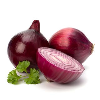 Cebula Karmen