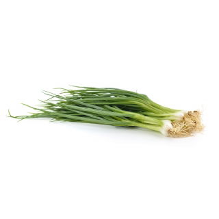 Cebula siedmiolatka Bajkal nasiona
