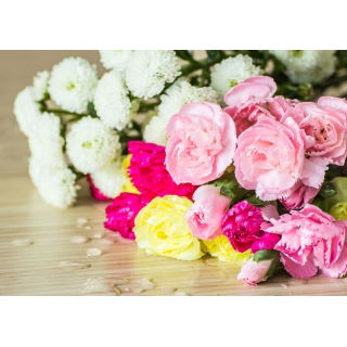 Goździk ogrodowy mieszanka