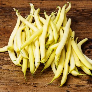 BIO Fasola szparagowa Fructidor - Certyfikowane nasiona ekologiczne