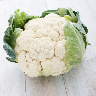 Kalafior Early Snowball X - biały