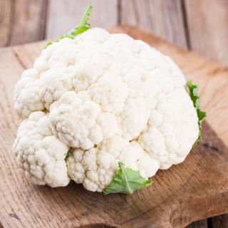 Kalafior Early Snowball X - biały