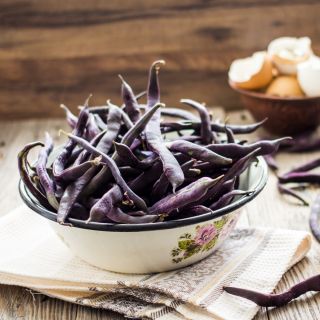 Fasola Purple Teepee - szparagowa, karłowa