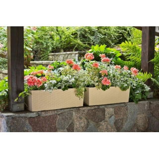 Kwietnik Begonia - 19 x 56 cm - rattan cappuccino