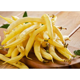 Fasola Furora Polana nasiona