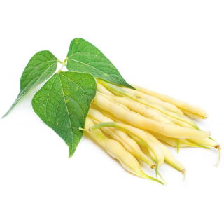 Fasola Furora Polana nasiona