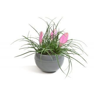 Doniczka Kula - 30 cm - antracyt