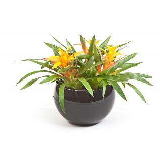 Doniczka Kula - 30 cm - czarna