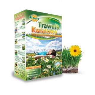 Trawnik kwiatowy - mieszanka traw gazonowych oraz kwiatów - 0,5 kg