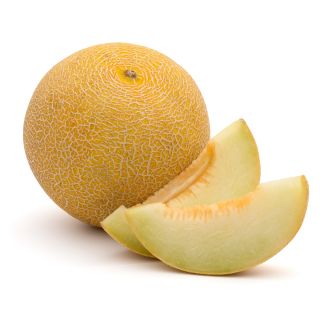 Melon Masada - jedna z najsmaczniejszych odmian na rynku