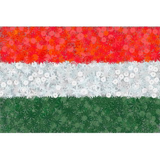 Węgierska flaga - zestaw 3 odmian nasion kwiatów