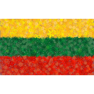 Litewska flaga - zestaw 3 odmian nasion kwiatów