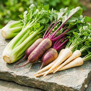 Warzywa do uprawy współrzędnej - Zestaw 1 - 3 gatunki nasion