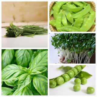 BIO warzywa - zestaw 3 - 15 gatunków nasion warzyw