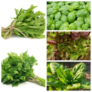 BIO warzywa - zestaw 3 - 15 gatunków nasion warzyw