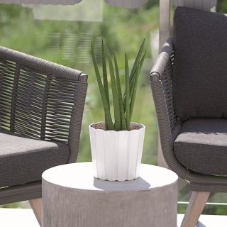 Doniczka okrągła Boardee Basic - 20 cm - biały