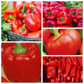 Papryka czerwona - zestaw 5 odmian nasion warzyw