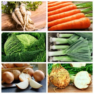 Warzywa różne (włoszczyzna) - 6 odmian nasion warzyw