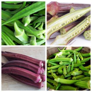 Okra, Ketmia jadalna - zestaw 2 odmian nasion warzyw