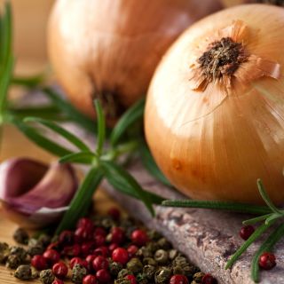 Cebula Wolska - NASIONA ZAPRAWIANE