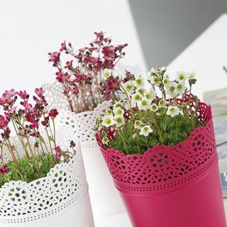 Osłonka z koronkowym wykończeniem, ażurowa Lace - 18 cm - biała