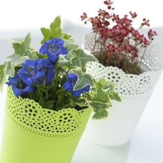 Osłonka z koronkowym wykończeniem, ażurowa Lace - 18 cm - limonka