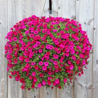 Koszyk wiszący na kwiaty z matą kokosową - 40 cm