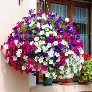 Koszyk wiszący na kwiaty z matą kokosową - 30 cm