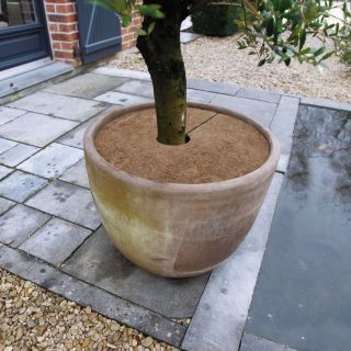 Osłona przed zimnem na korzenie z maty kokosowej - śr. 30 cm - 3 szt.