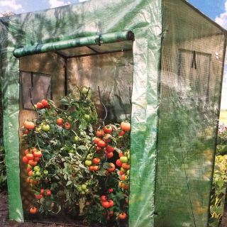 Szklarnia do pomidorów - 200 x 198 x 78 cm