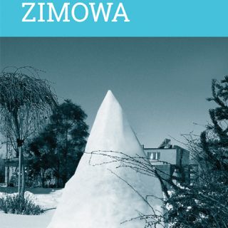 Agrowłóknina zimowa - biała - chroni rośliny przed mrozem - 3,20 x 10,00 m