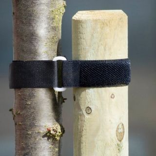 Opaska do drzew 40 x 2,5 cm - 2 szt.