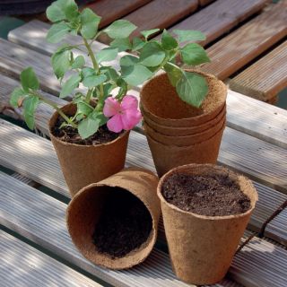 Doniczki torfowe okrągłe 8 cm śr. - 250 sztuk
