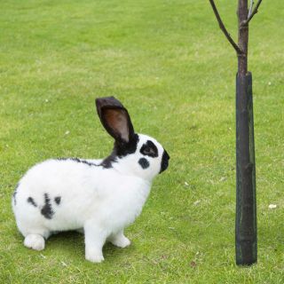 Osłonka ochronna na drzewka - 80 cm - 3 szt.