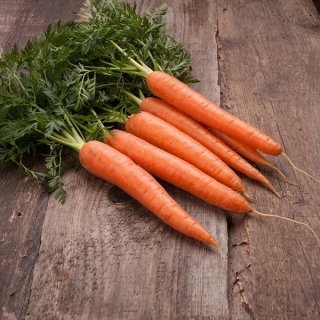 Domowy ogródek - Marchew Touchon - do uprawy w domu i na balkonie