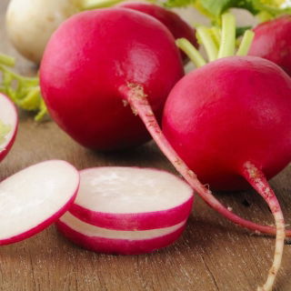 Rzodkiewka Rowa