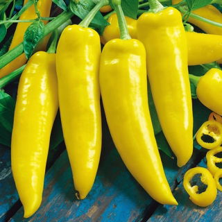 Papryka Hungarian yellow wax hot - ostra węgierska