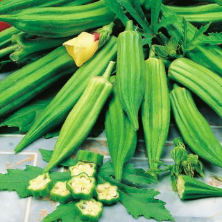 Okra, Ketmia jadalna Clemson Spineless
