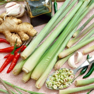 Trawa cytrynowa - wyjątkowy smak i aromat!