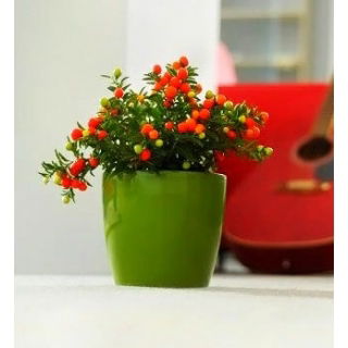 Doniczka Coubi Duo śr. 19 cm - Oliwka nowa