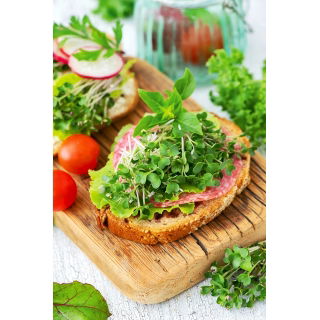 Microgreens - Brokuł - młode listki o unikalnym smaku
