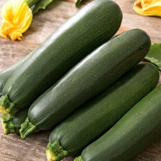 BIO Cukinia - Certyfikowane nasiona ekologiczne